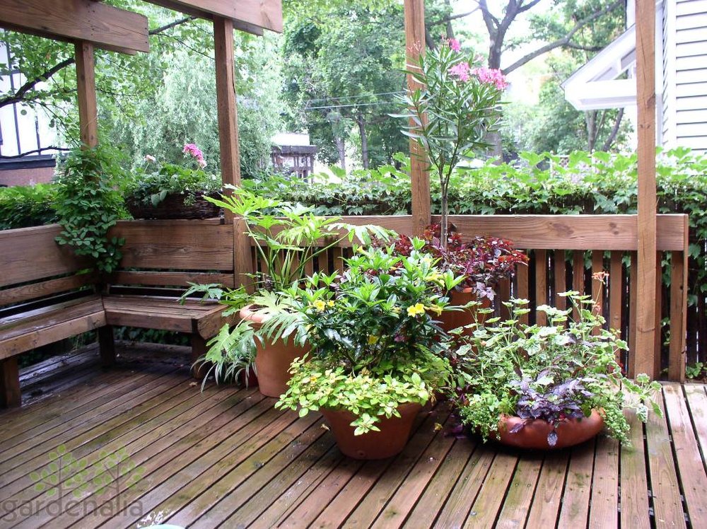 Container Garden