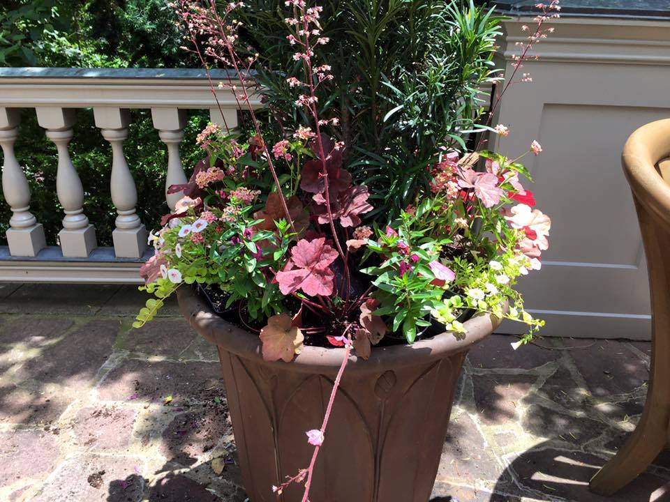 Container Garden