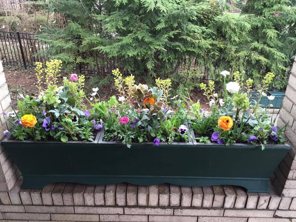 Container Garden