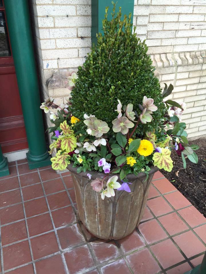 Container Garden