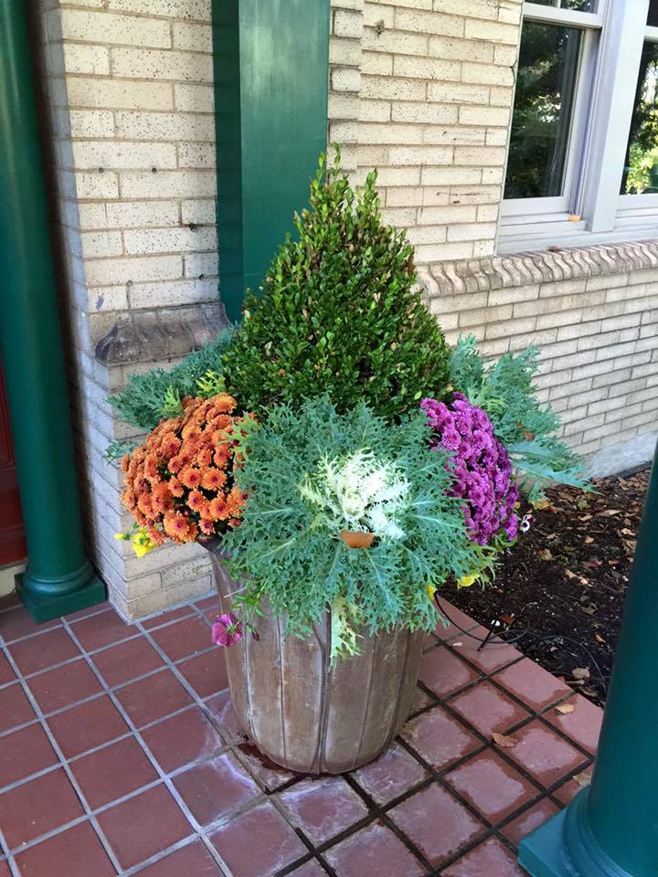 Container Garden