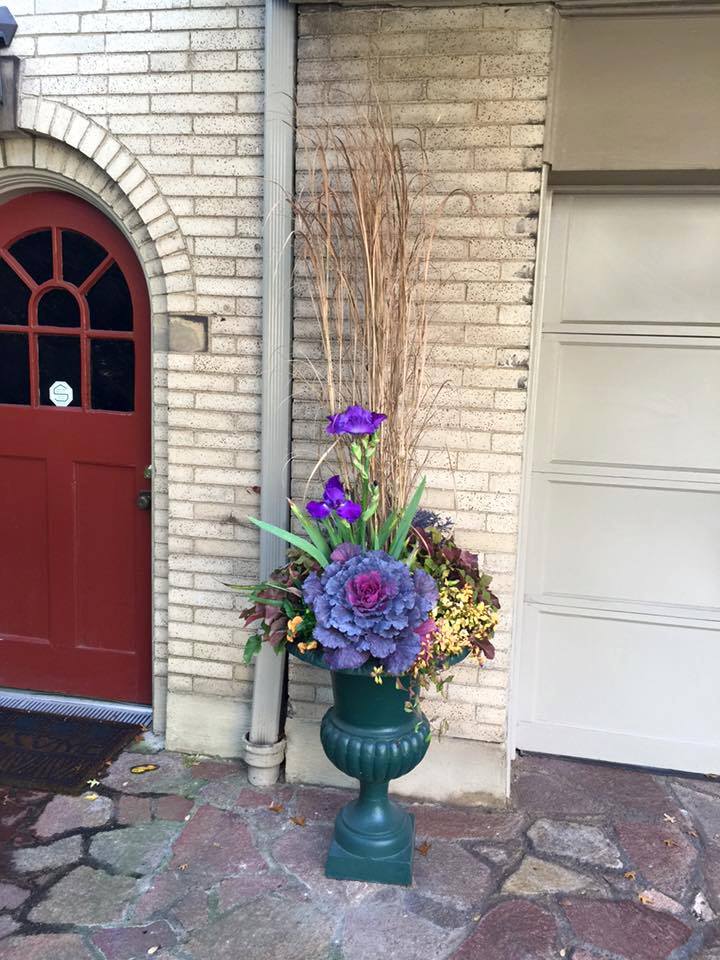 Container Garden