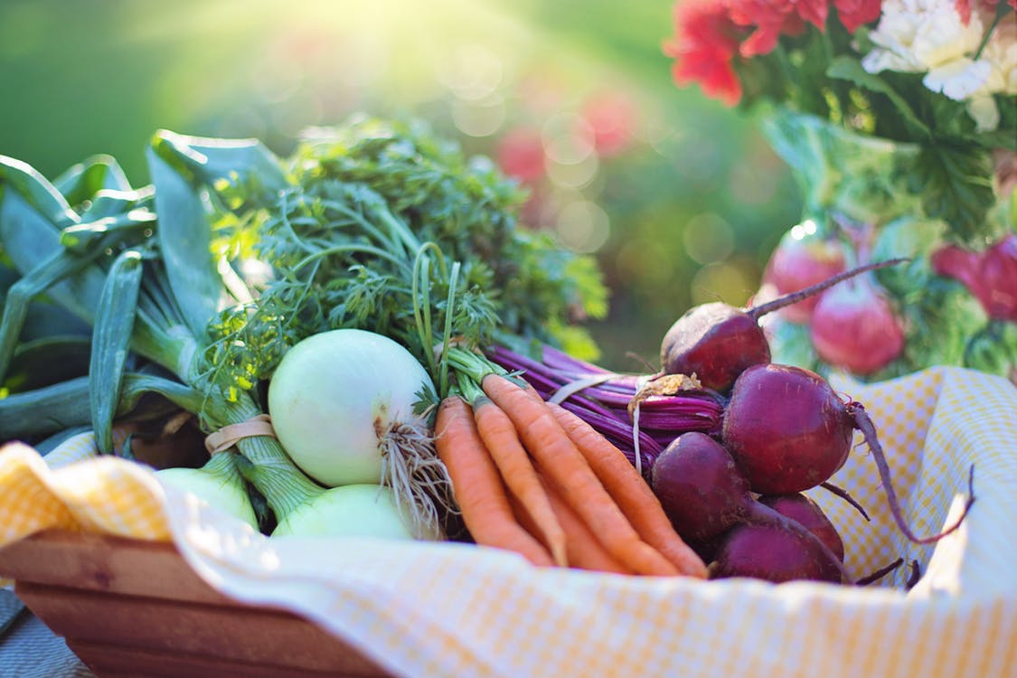 Edible Gardening