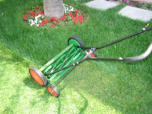 Organic Lawn Care