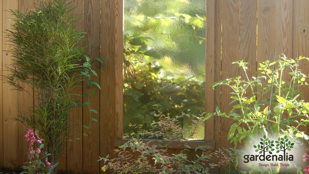 44-1024x576.jpg