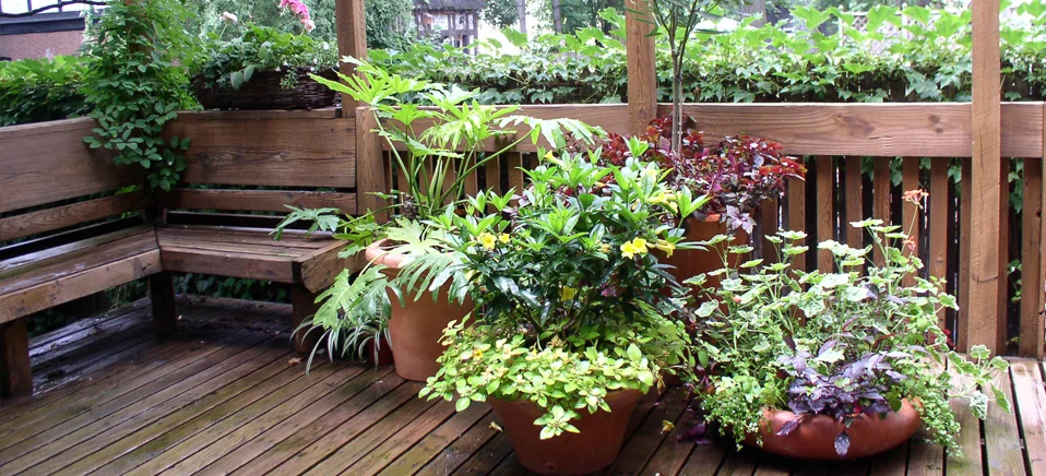 deck-garden.jpg