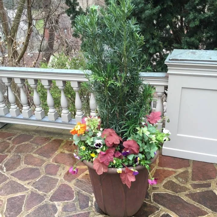 Container-gardens.jpg