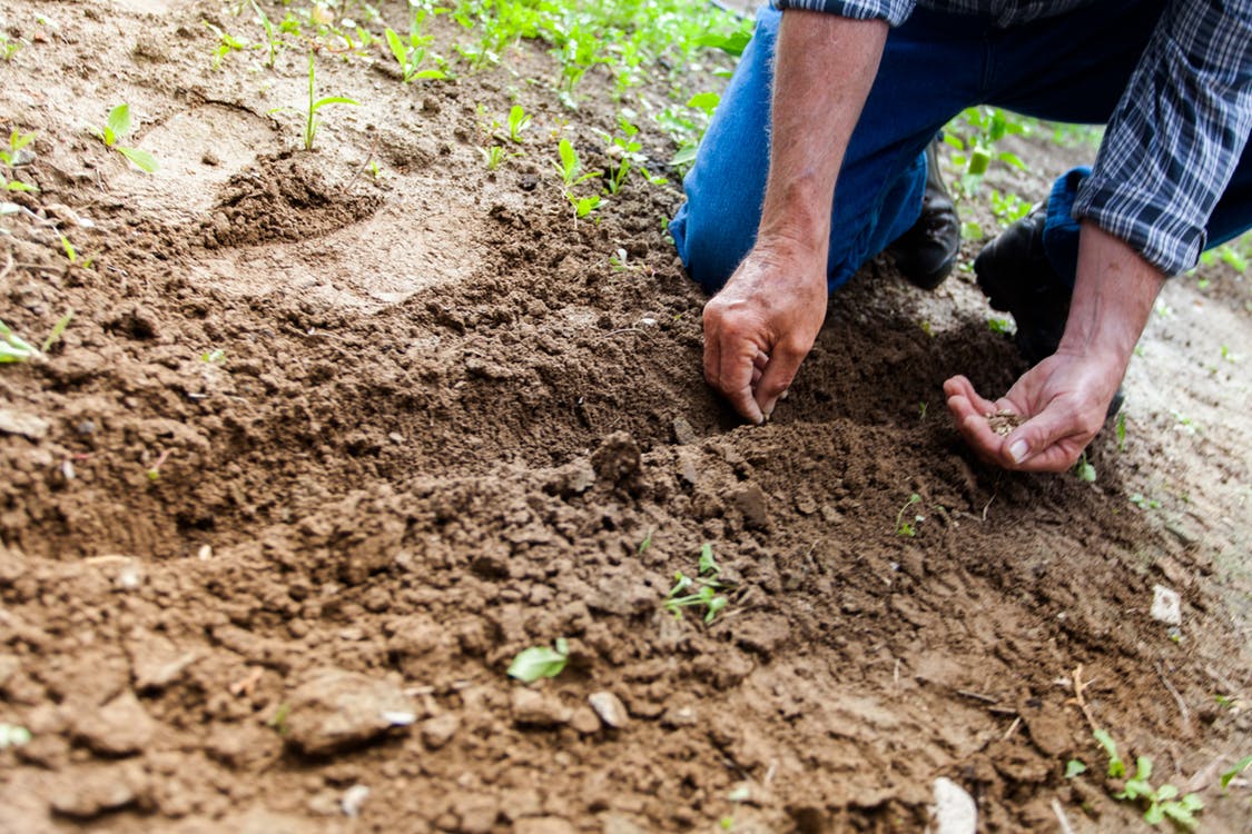 Landscape Crew Supervisor - employment page