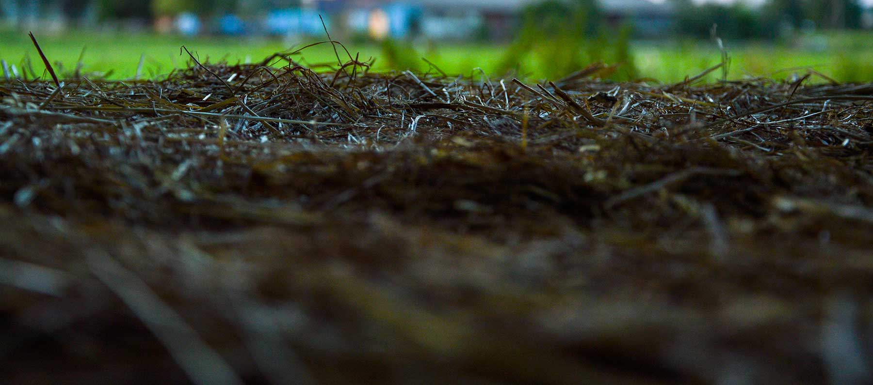 mulch.jpg