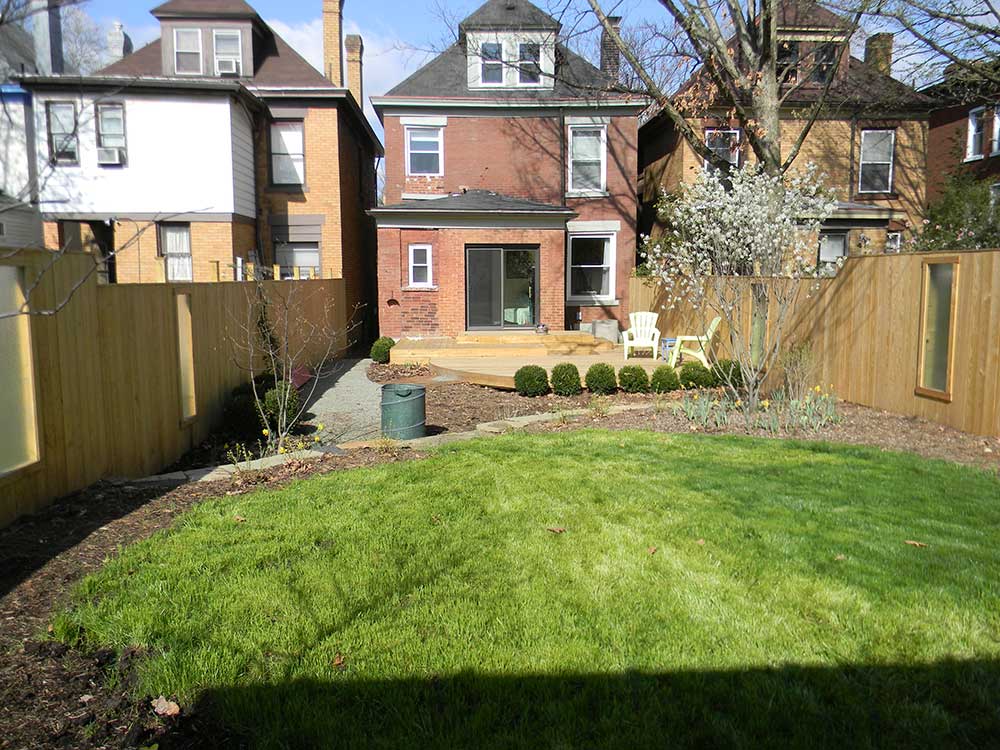 Urban Rain Garden