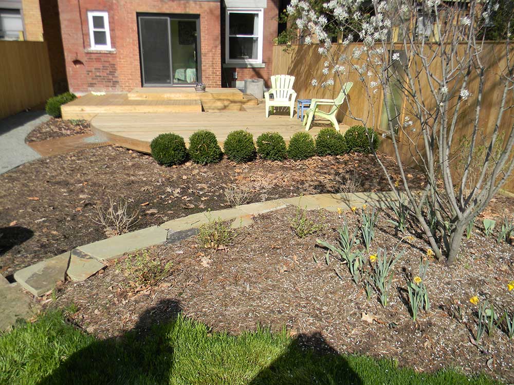 Urban Rain Garden