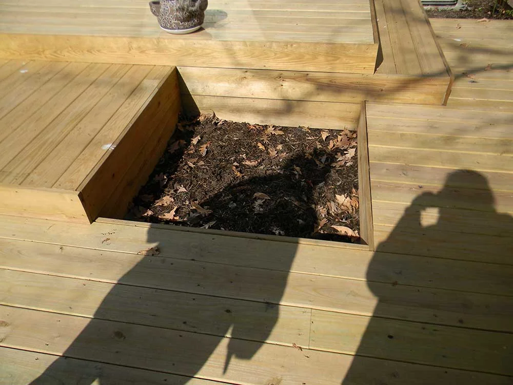 Urban Rain Garden