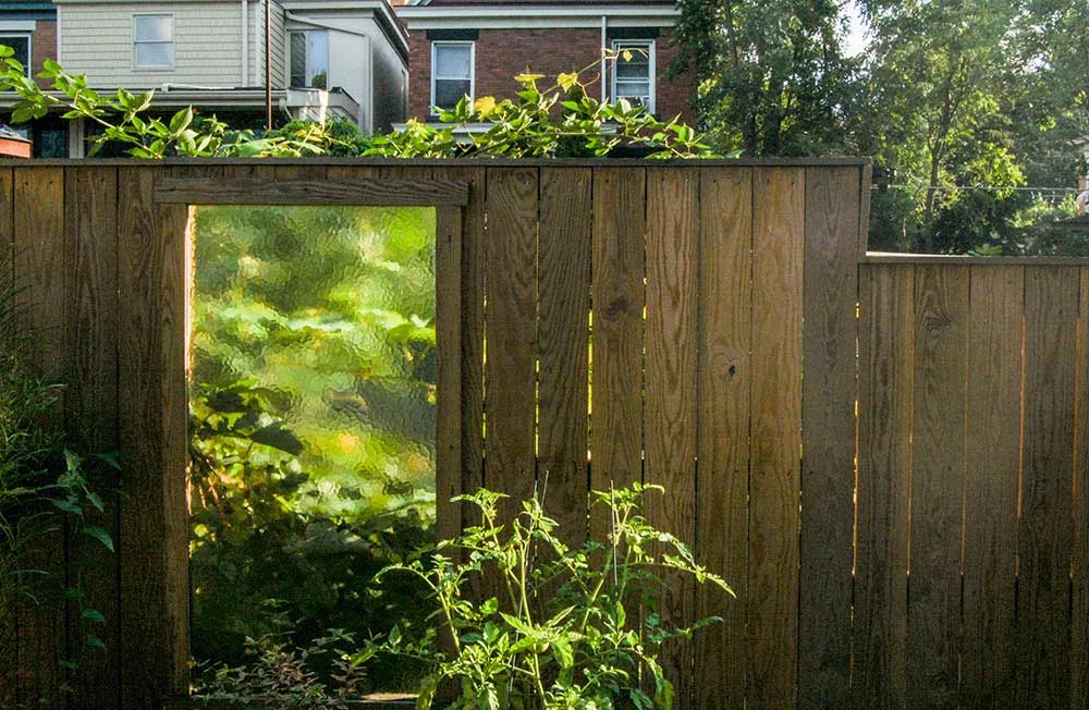 Urban Rain Garden