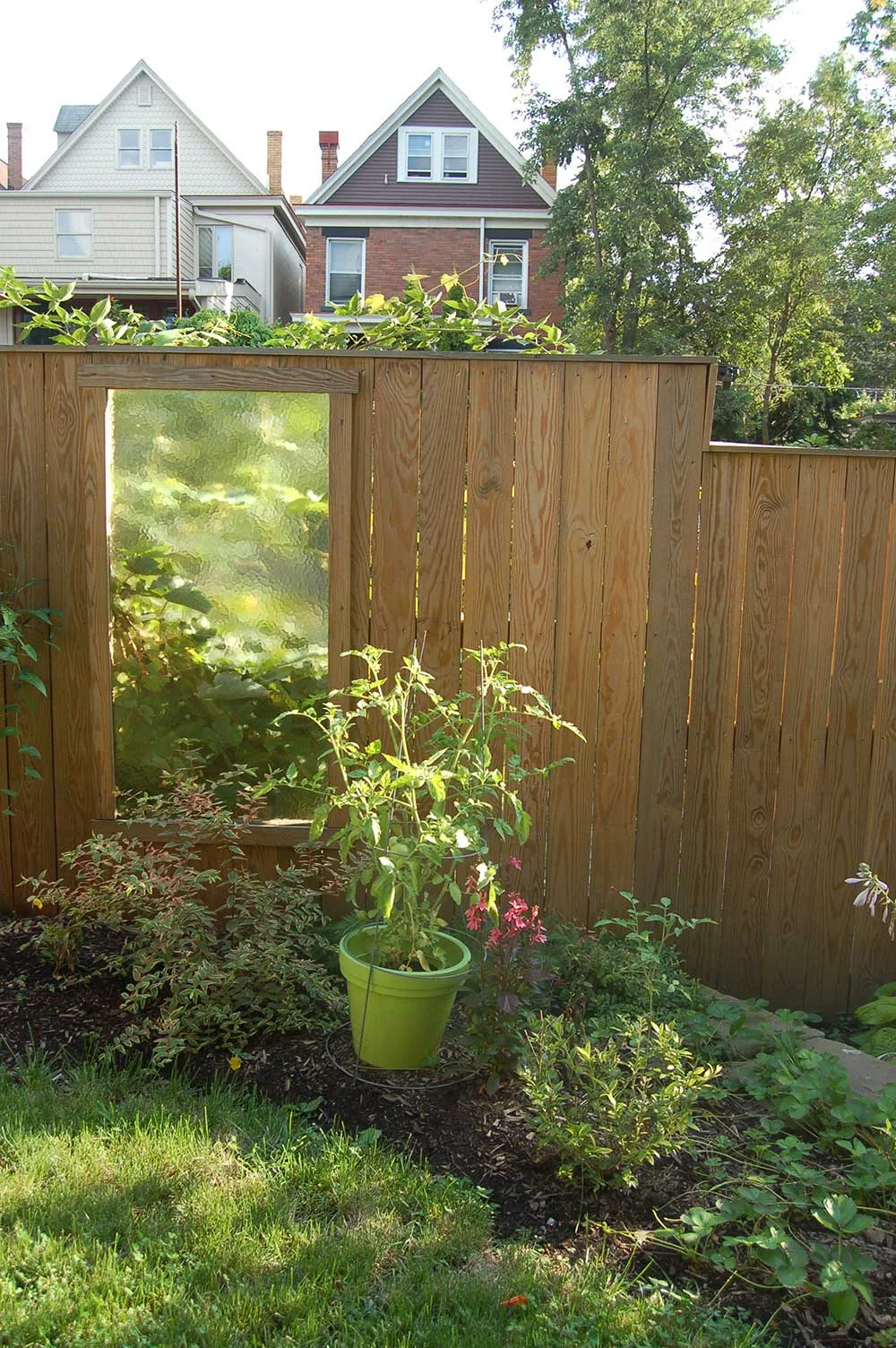 Urban Rain Garden