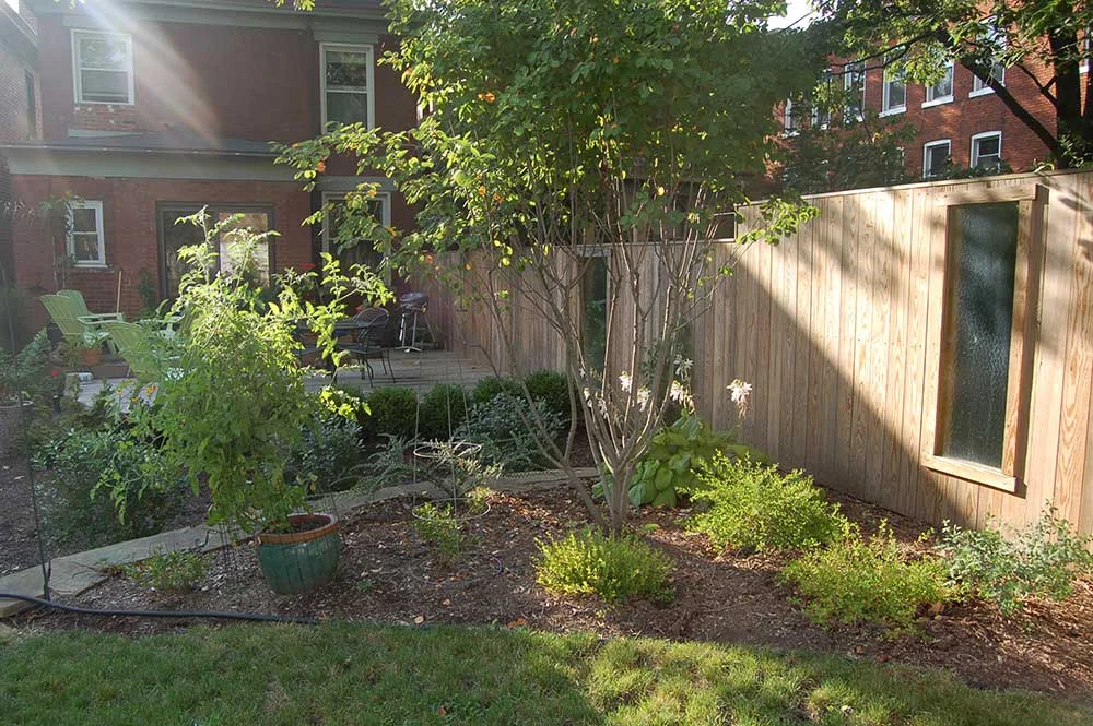 Urban Rain Garden