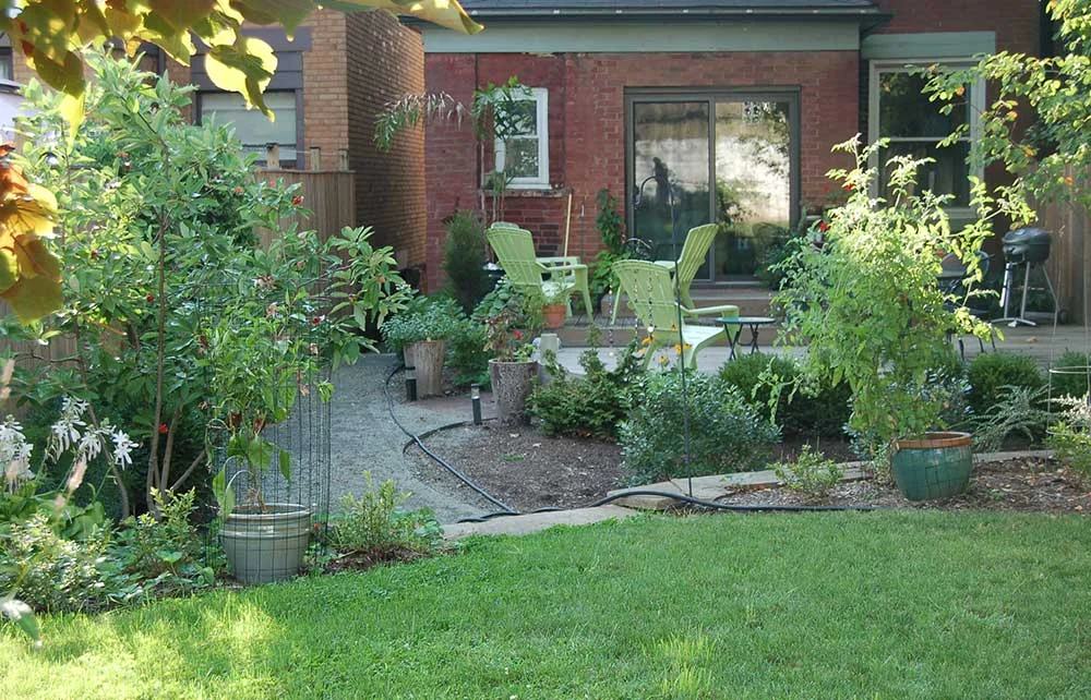 Urban Rain Garden
