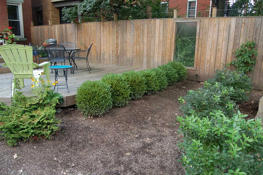 Urban Rain Garden