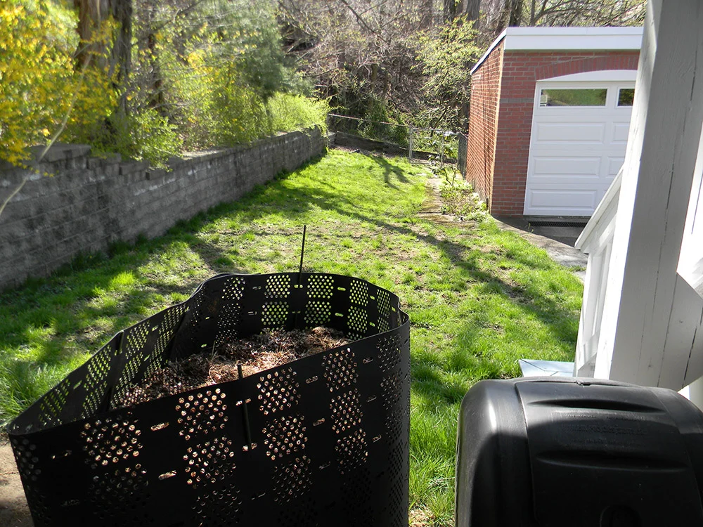 Urban Meadow & Garden - Before Image