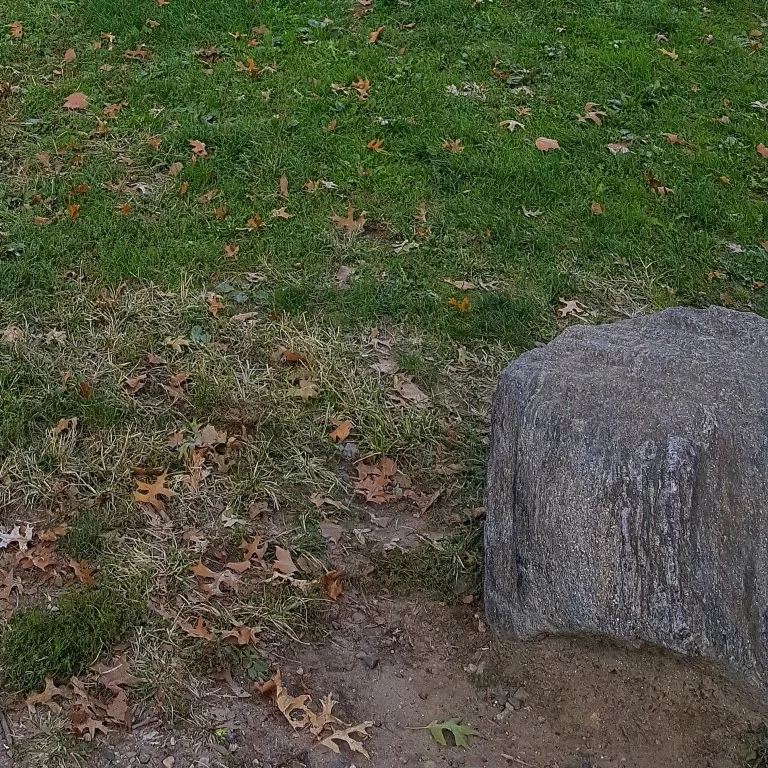CrabGrass