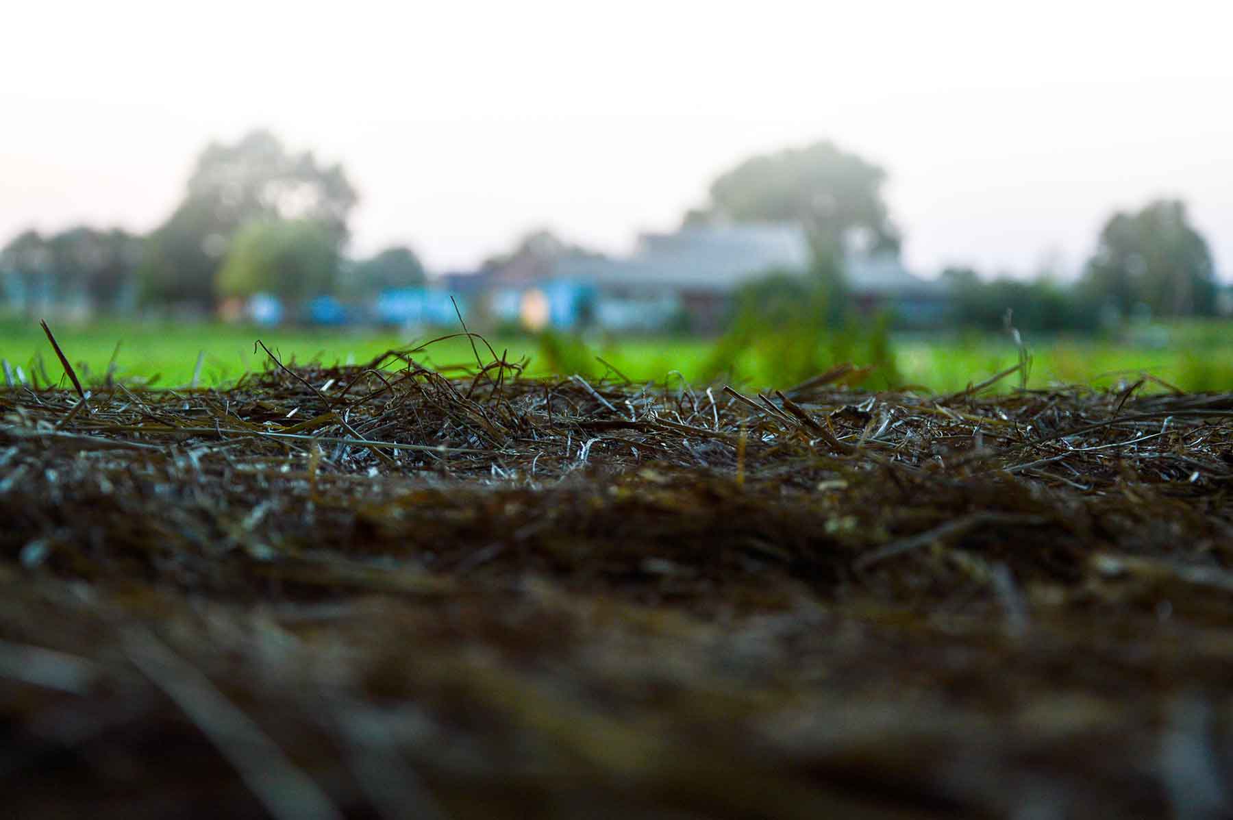 What is compost?