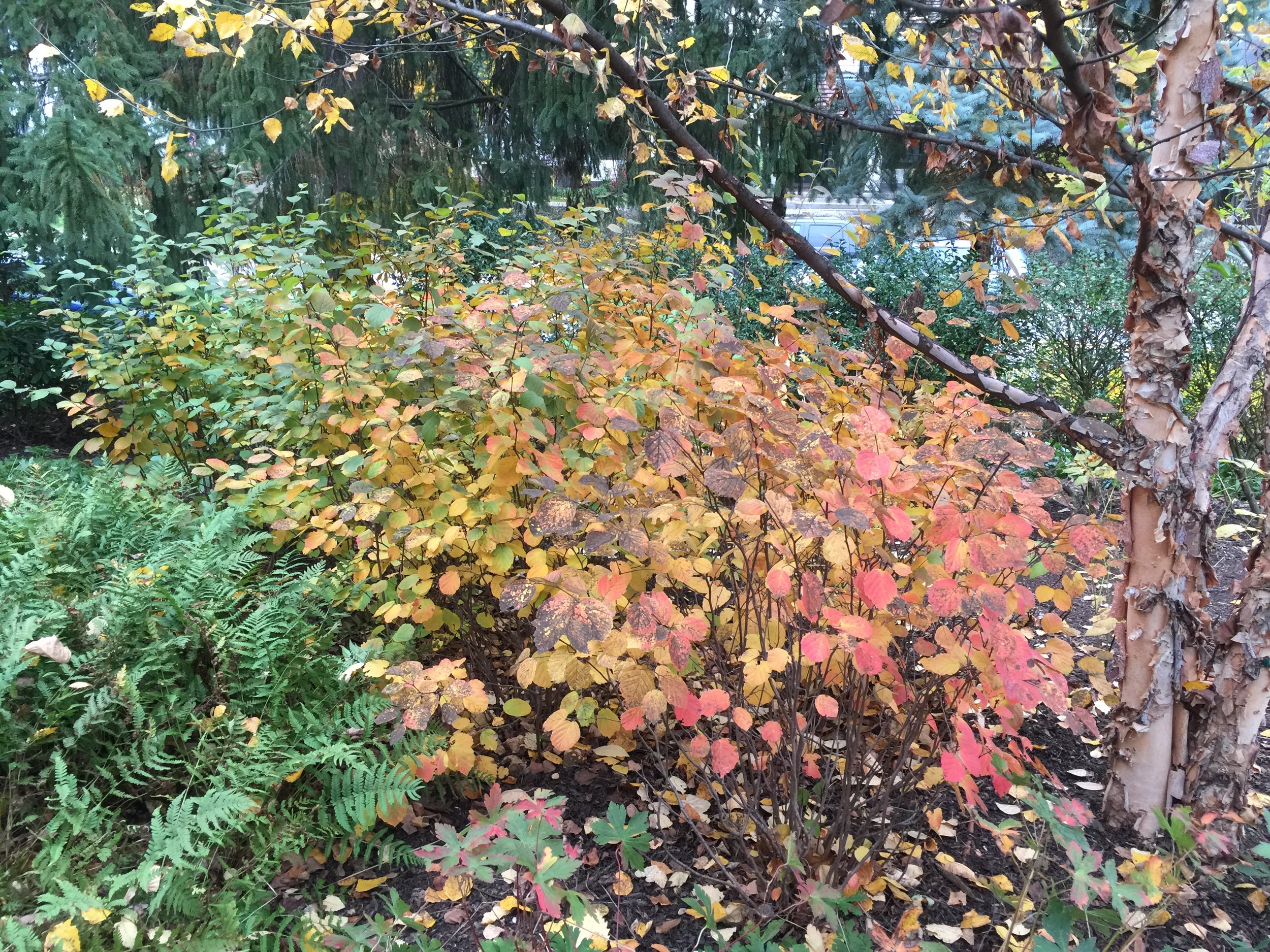 IMG_8747.JPG