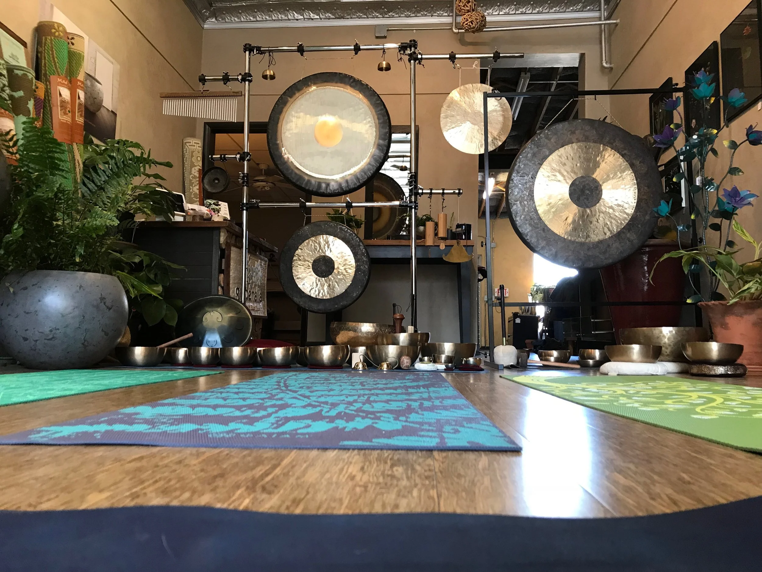 A Journey Through Sound+My Autopsy Sneak Peek