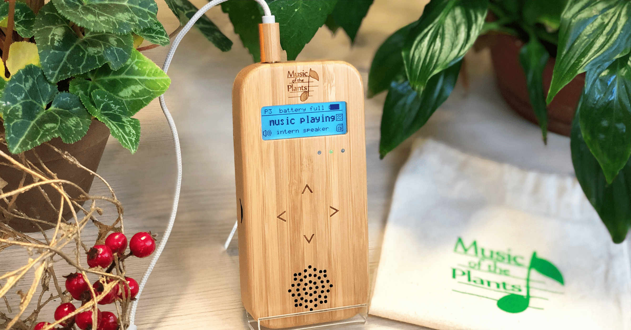 Christmas-Gift-and-Sale-🎄🎶🎁