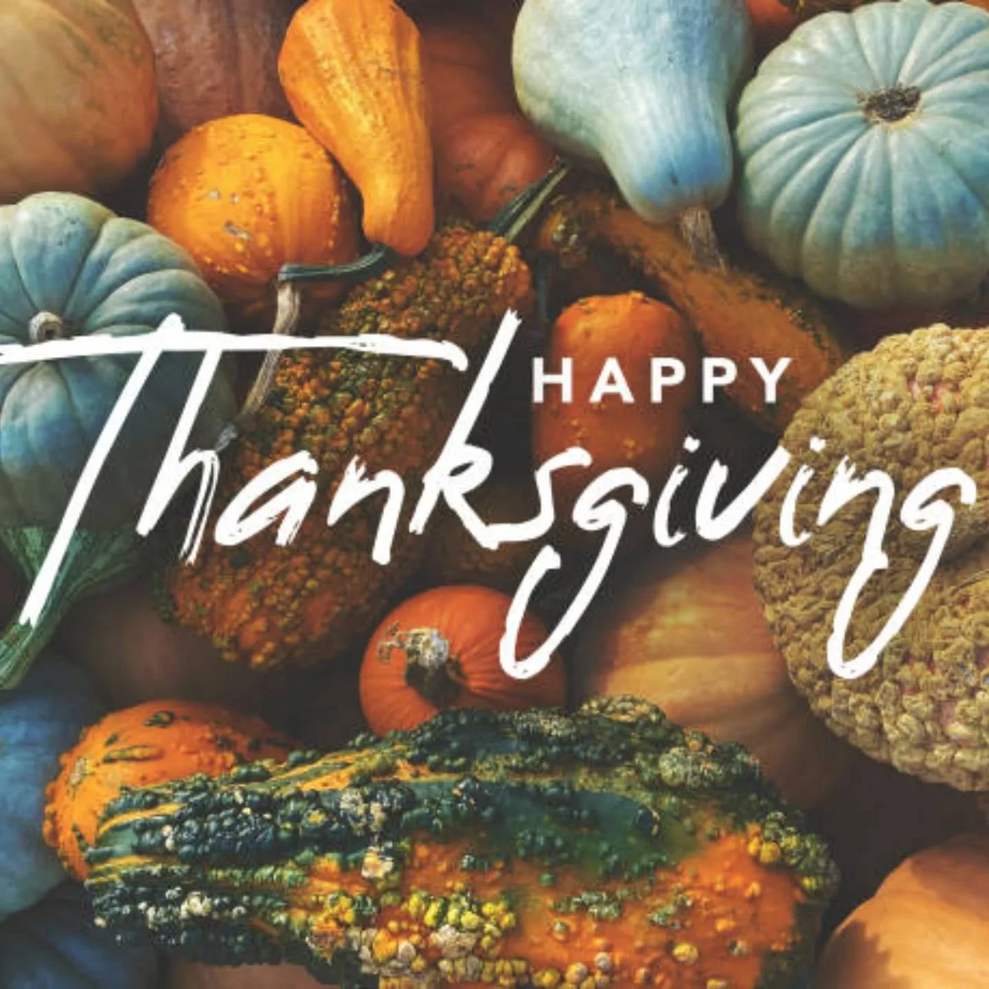 Gardenalia wishes you a happy Thanksgiving. We are grateful for this past year and wish for a great 2026.