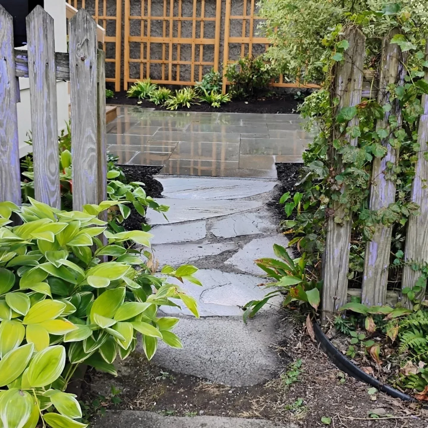 SAVE TWICE! The promo is ending at the end of the month!
Schedule a consultation on gardenaliapgh.com/schedule and get a 10% discount on the design and a 5% on the installation.
We are looking for Summer installations...it could be you!