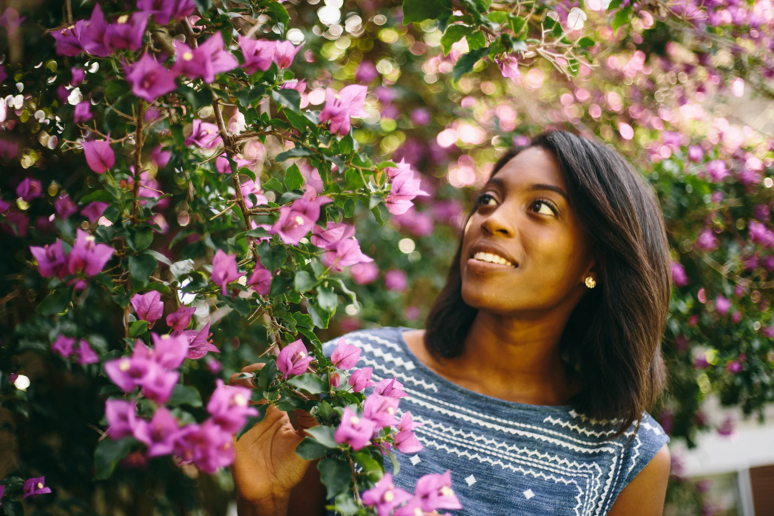 Bougainvillea