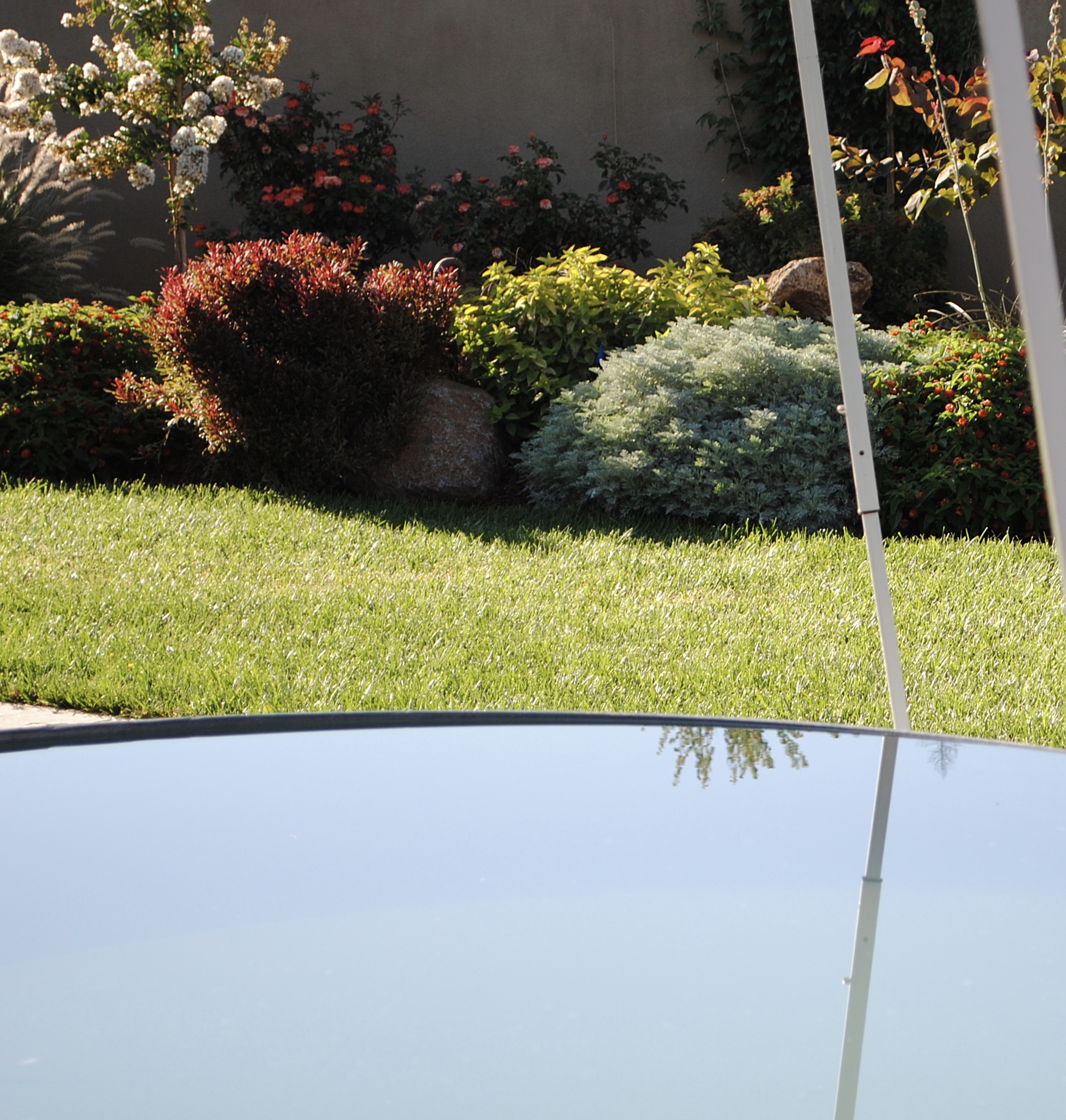 The stock tank pool is ready for a plunge at my sister's little slice of heaven in Penn Valley.