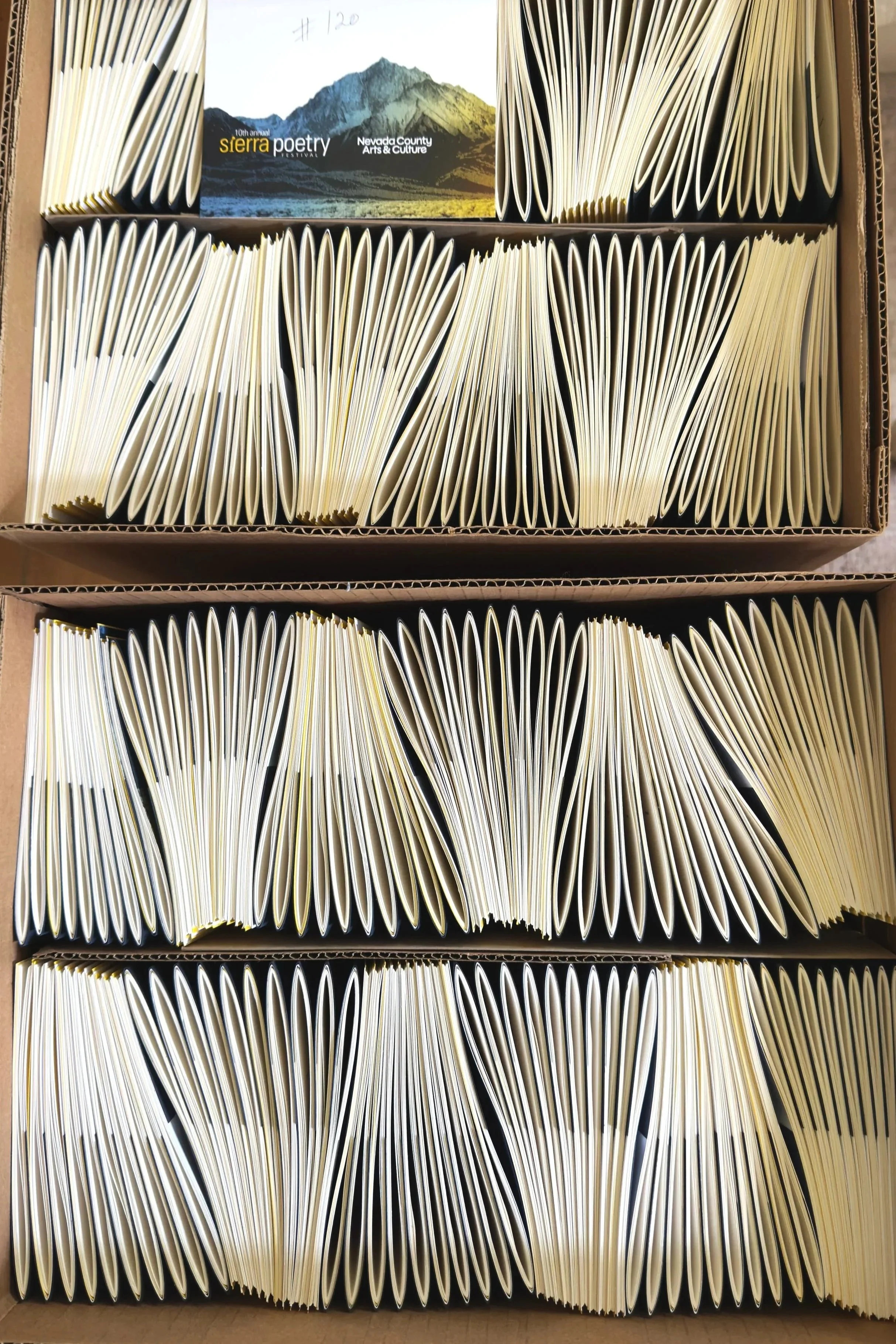  The budget was modest—the sponsor was a non-profit arts organization—and the booklet would not be sold commercially. It would feature twelve poets—among the most published and celebrated contemporary poets writing today.  It was incredibly generous 