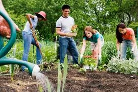 community garden 1.jpg