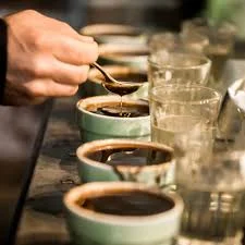 coffee cupping.jpg