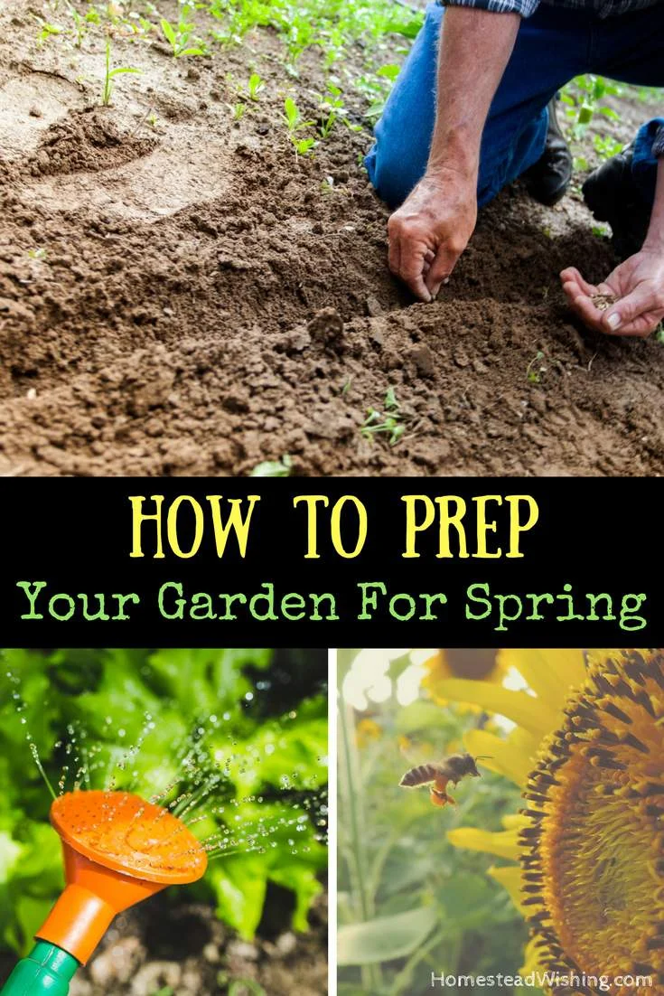 prep-garden-spring.jpg