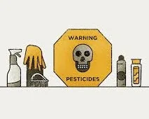 Recognizing &amp; Minimizing Environmental Toxins