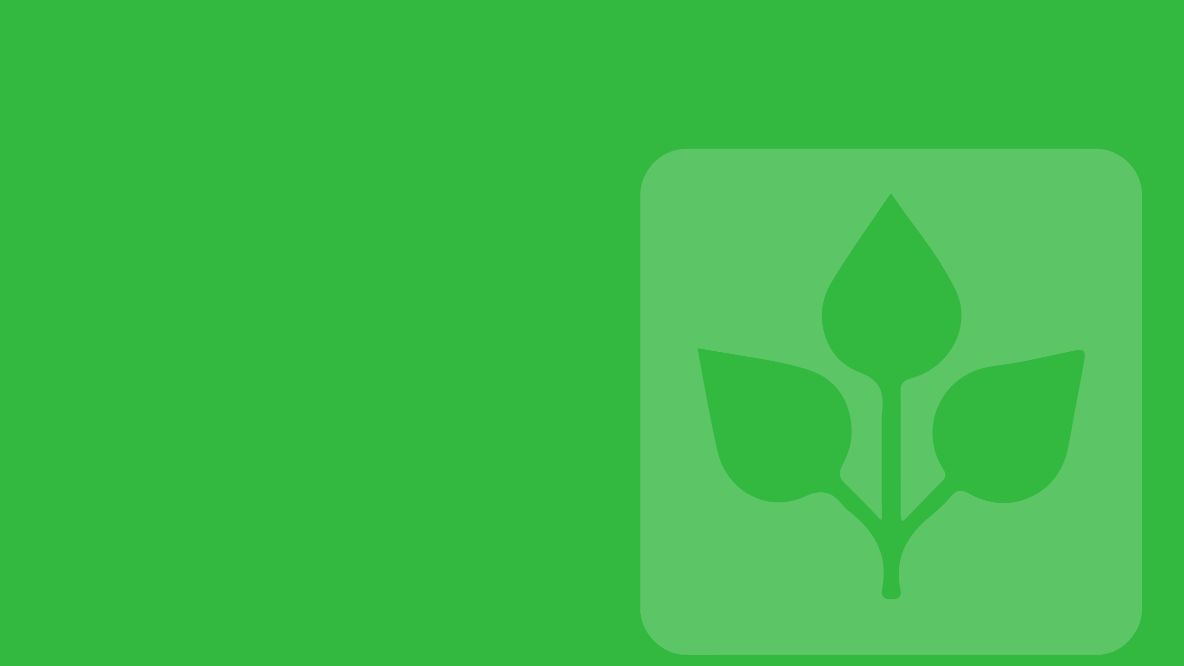 Walker Supple Banner.png