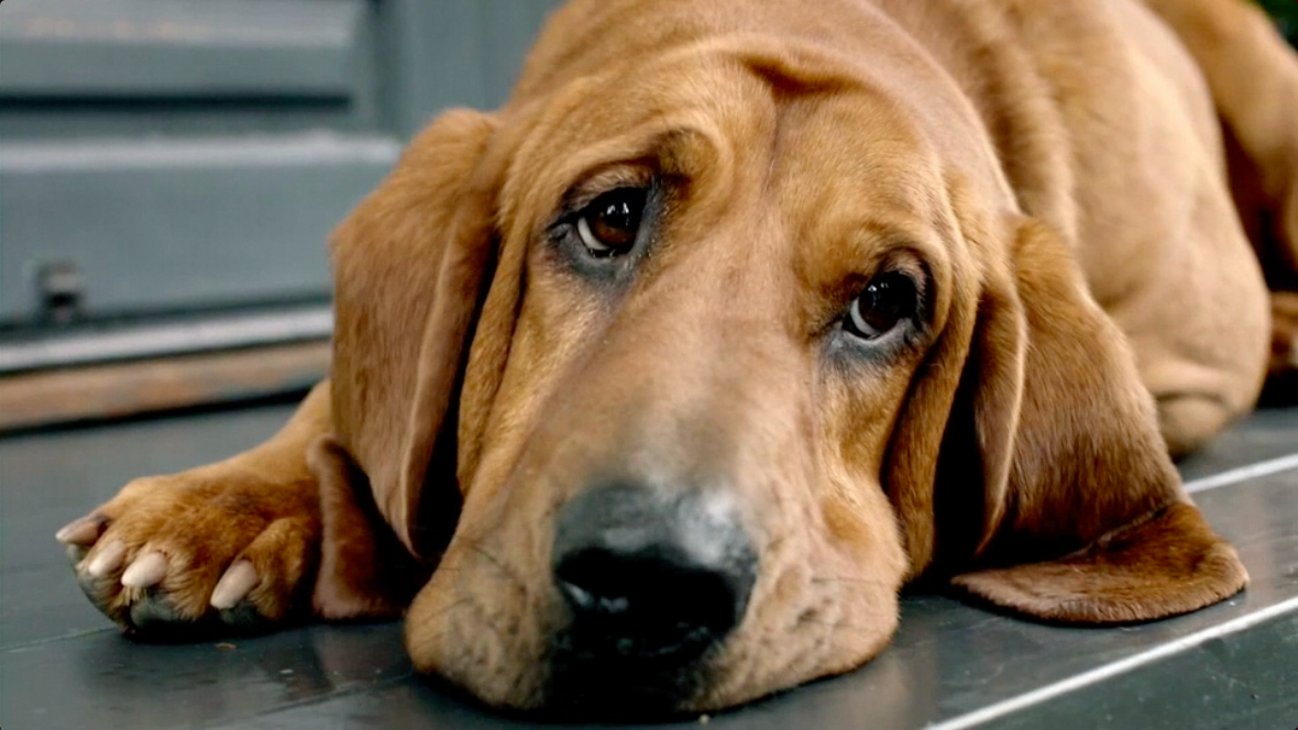 Screen Shot 2017-03-09 at 10.30.36 PM.png