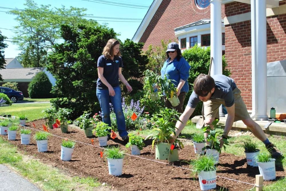 Osterville Rain Garden with Town and APCC.jpg