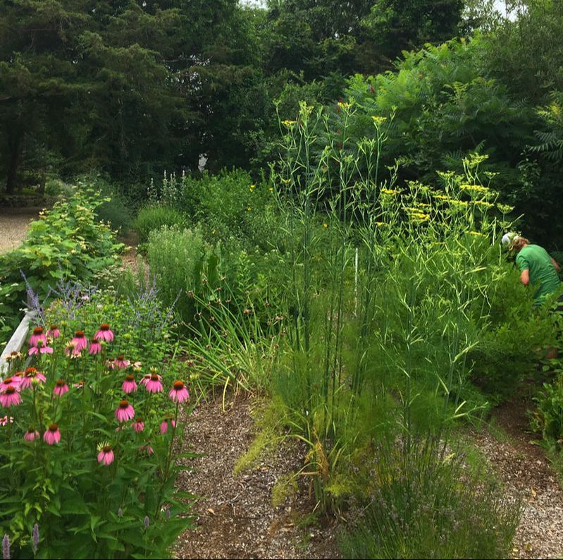 Edible Forest Gardens by Edible Landscapes