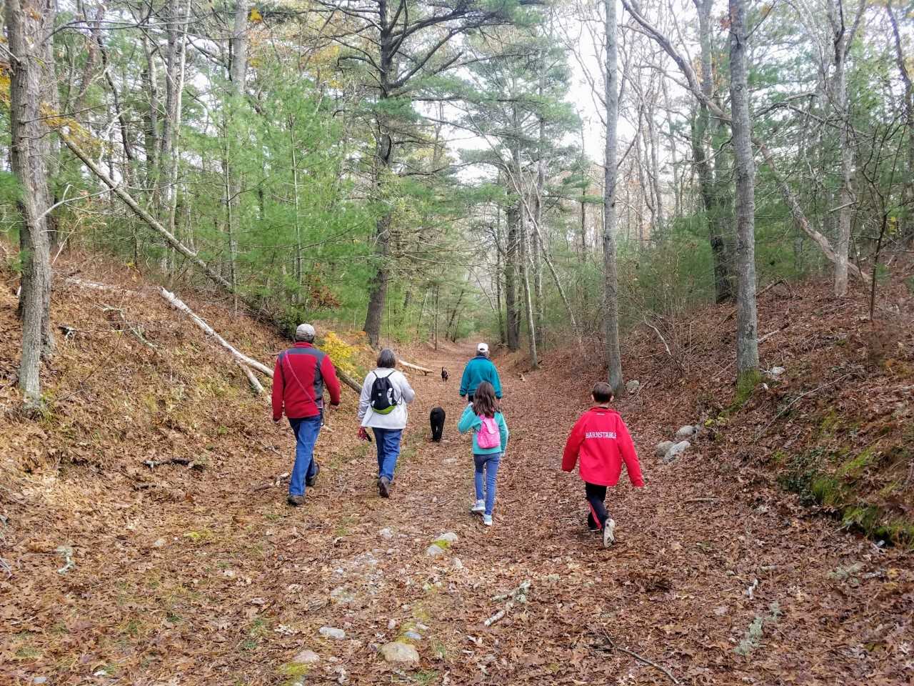 Can Spending Time In Nature Improve >> Your Kids Need Nature And So Do You The Mental And Physical Health Can Spending Time In Nature Improve >> Your Kids Need Nature And So Do You The Mental And Physical Health