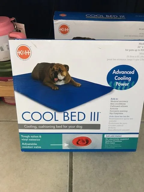 cool%2Bbed.jpg