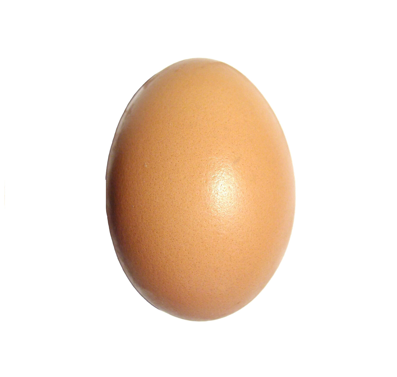 egg.jpg