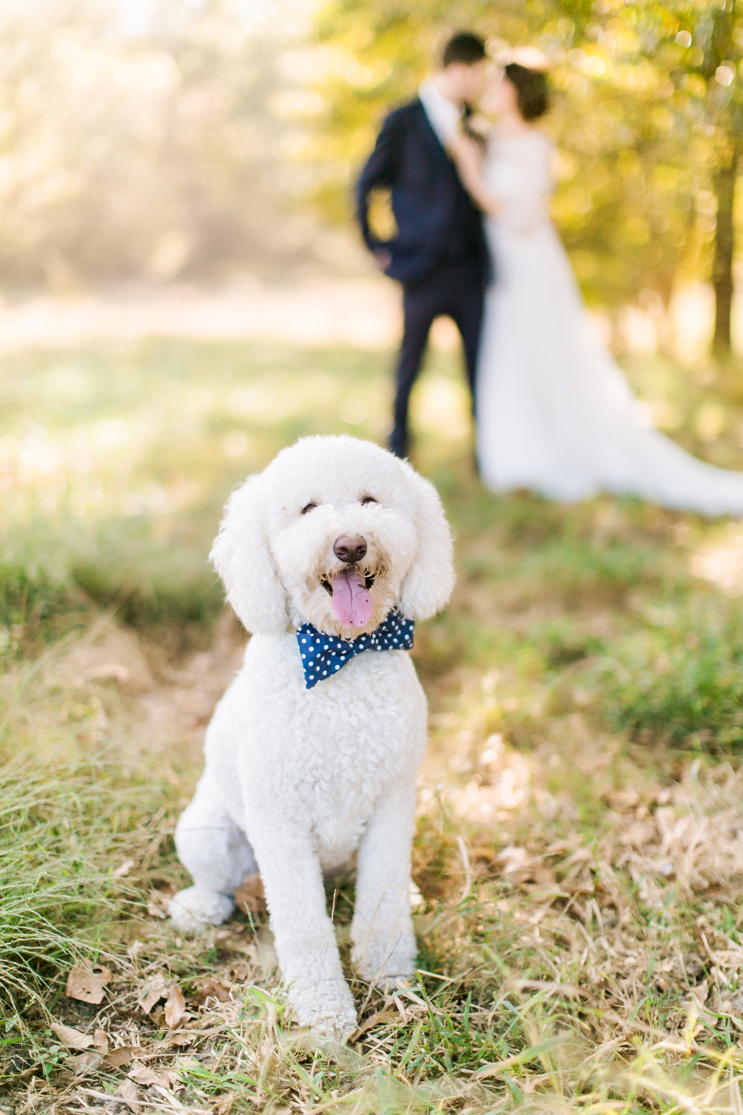 MissouriRusticWedding_StLouisWeddingPhotographer_AliciaDan_CatherineRhodesPhotography-1771-Edit.jpg