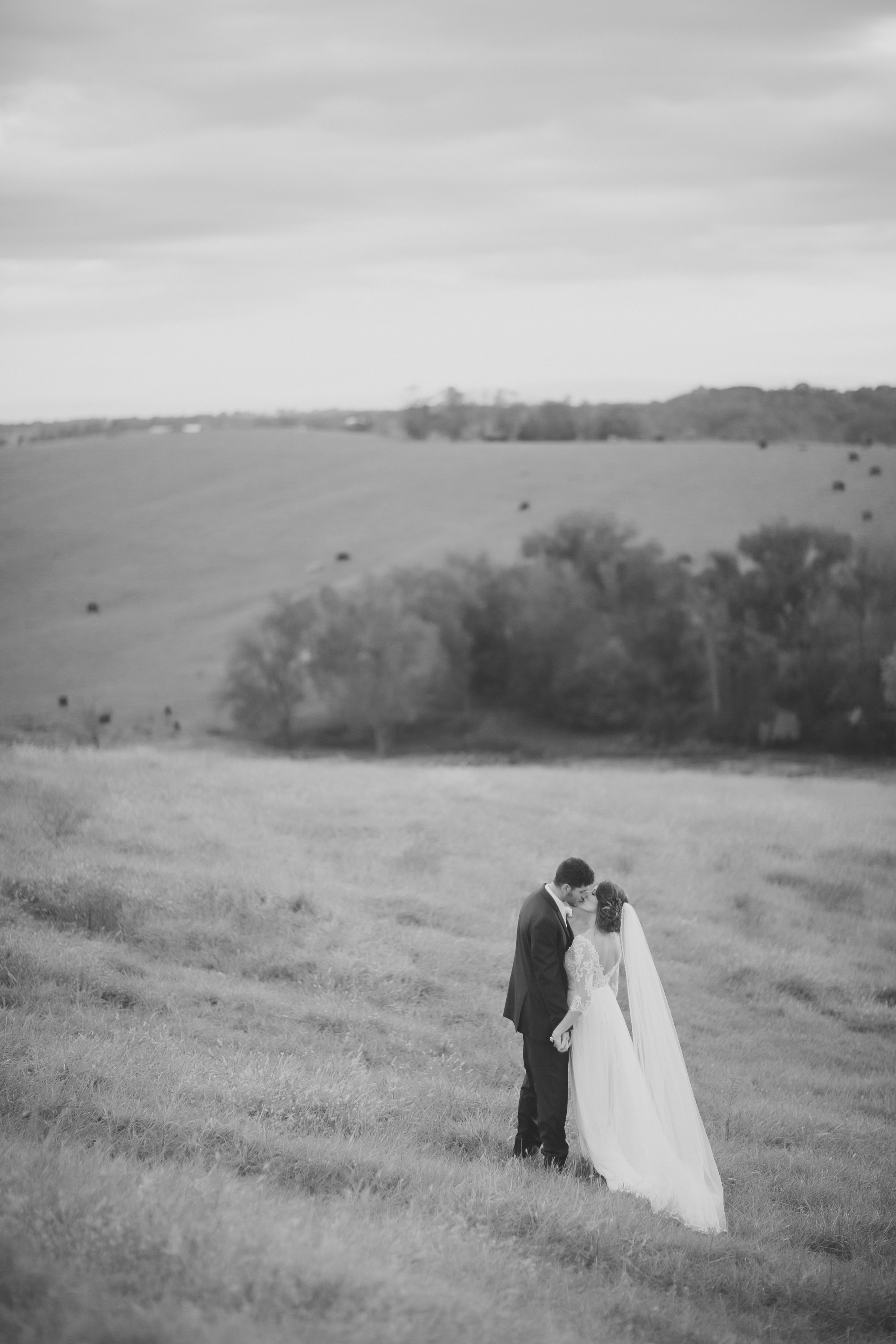 MissouriRusticWedding_StLouisWeddingPhotographer_AliciaDan_CatherineRhodesPhotography-4178-Edit.jpg