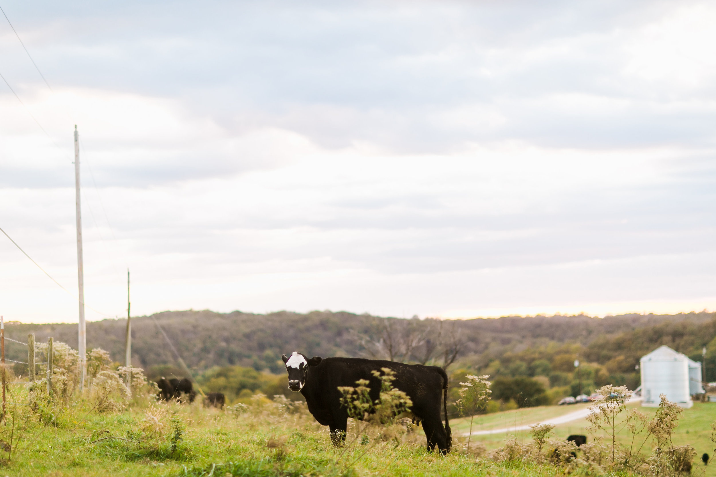 MissouriRusticWedding_StLouisWeddingPhotographer_AliciaDan_CatherineRhodesPhotography-4322-Edit.jpg