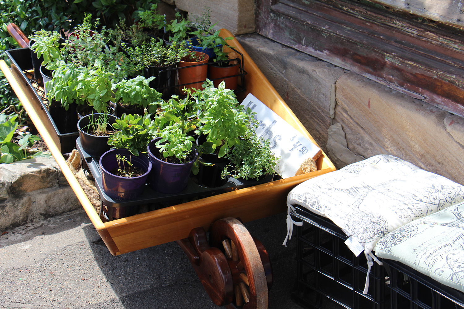 Fresh Seasonal Herbs
