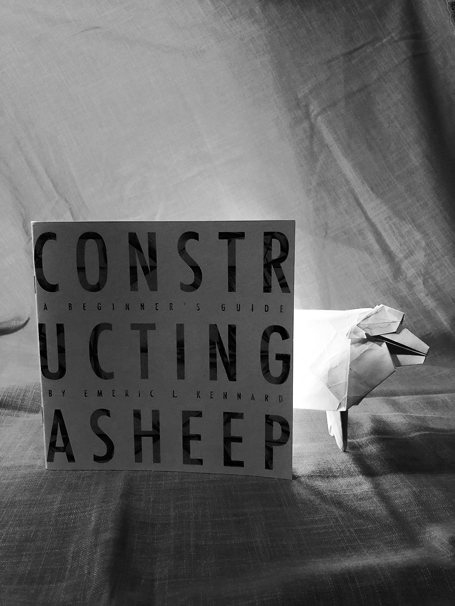 CONSTRUCTING A SHEEP: A BEGINNER'S GUIDE