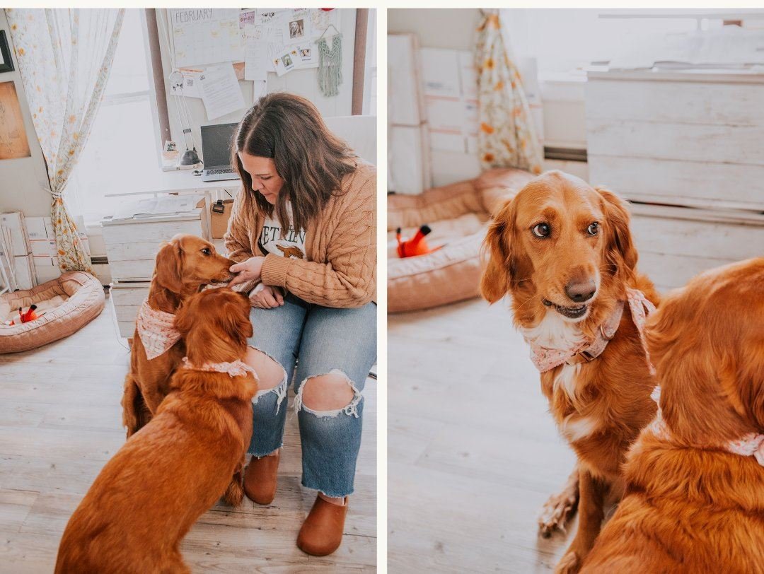 Schuylkill County Brand Photography, small business brand photography, Behind the scenes photography