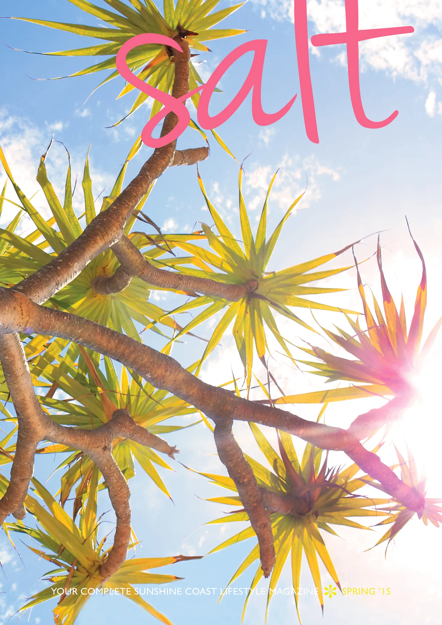 salt_spring15_cover.jpg